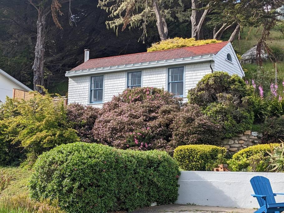 Boathouse Cottage بوينت أرينا المظهر الخارجي الصورة